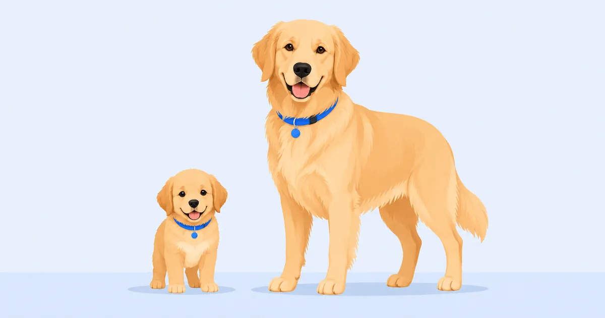 Illustration of a puppy standing beside its fully grown adult self at a measuring wall